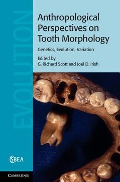 portada Anthropological Perspectives on Tooth Morphology Hardback (Cambridge Studies in Biological and Evolutionary Anthropology) 