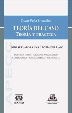 portada Teoría del Caso Teoría y Práctica Cómo se Elabora una Teoría del Caso (in Spanish)