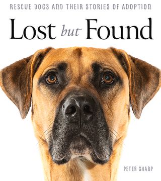 portada Lost but Found: Rescue Dogs and Their Stories of Adoption (en Inglés)