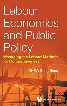 portada Labour Economics and Public Policy: Managing the Labour Markets for Competitiveness (en Inglés)