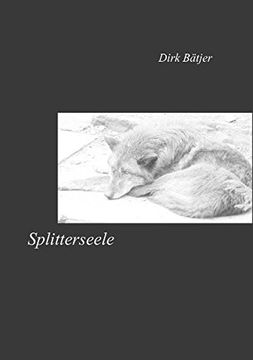 portada Splitterseele (German Edition)