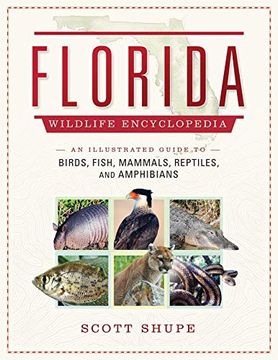 portada Florida Wildlife Encyclopedia: An Illustrated Guide to Birds, Fish, Mammals, Reptiles, and Amphibians 