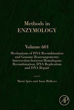 portada Mechanisms of dna Recombination and Genome Rearrangements: Intersection Between Homologous Recombination, dna Replication and dna Repair, Volume 601 (Methods in Enzymology) (en Inglés)