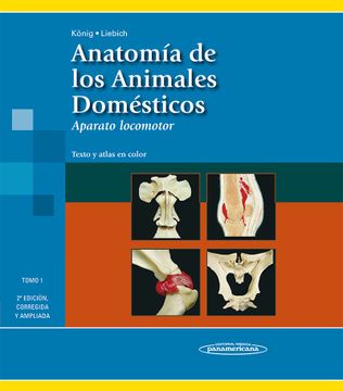 portada Anatomia de los Animales Domesticos Tomo 1 Aparato Loco  Motor (2 Edicion Corregida y Amplia