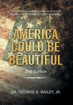portada America Could Be Beautiful: A Poor Man's Campaign for the Office of President of These United States of America (in English)