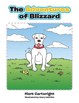 portada The Adventures of Blizzard