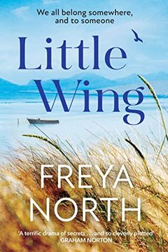 portada Little Wing: An Emotional and Heartwarming Story, Perfect for Autumn 2022 (en Inglés)