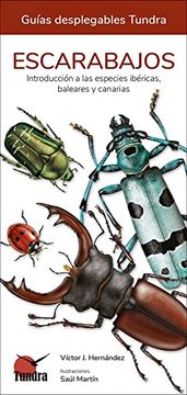portada Escarabajos - Guias Desplegables Tundra