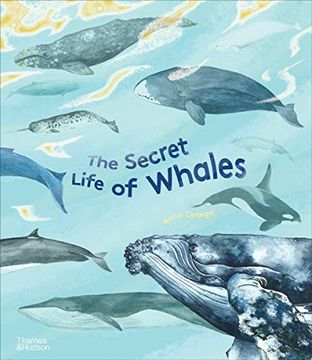 portada The Secret Life of Whales (en Inglés)