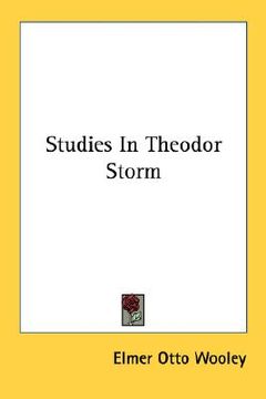 portada studies in theodor storm (en Inglés)