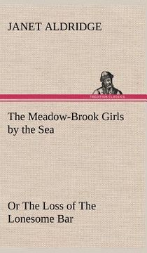 portada the meadow-brook girls by the sea or the loss of the lonesome bar