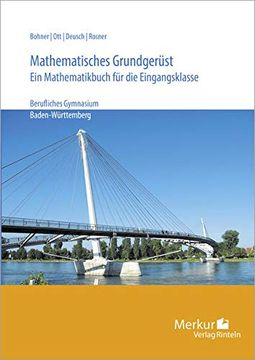 portada Mathematisches Grundgerüst: Ein Mathematikbuch für die Eingangsklasse. Berufliche Gymnasien. Lehrplanbezug Baden-Württemberg (in German)