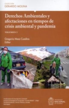 portada Derechos Ambientales y Afectaciones en Tiempos de Crisis Ambiental y Pandemia (in Spanish)