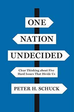 portada One Nation Undecided: Clear Thinking About Five Hard Issues That Divide us (en Inglés)