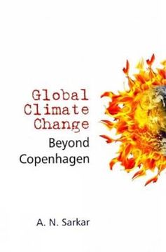 portada Global Climate Change Beyond Copenhagen
