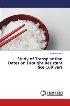 portada Study of Transplanting Dates on Drought Resistant Rice Cultivars