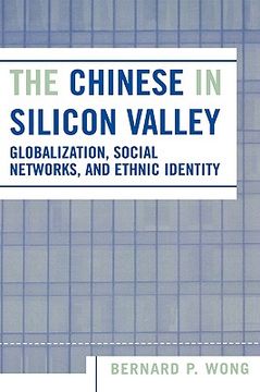 portada the chinese in silicon valley: globalization, social networks, and ethnic identity (in English)