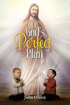 portada God's Perfect Plan (en Inglés)