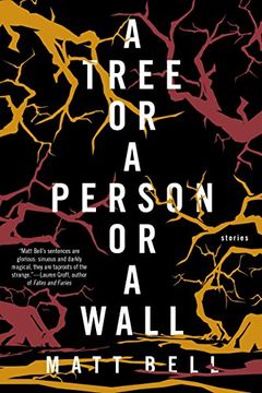 portada A Tree or a Person or a Wall: Stories (en Inglés)
