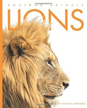 portada Lions (Amazing Animals) 