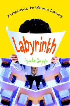 portada labyrinth: a novel about the software industry (en Inglés)