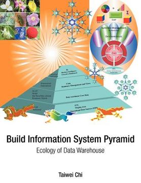 portada build information system pyramid: ecology of data warehouse (in English)