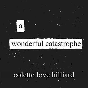 portada A Wonderful Catastrophe (in English)