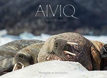 portada Aiviq: Life With Walruses 