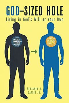 portada God-Sized Hole: Living in God'S Will or Your own (en Inglés)