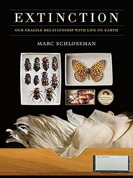portada Extinction: Our Fragile Relationship With Life on Earth (en Inglés)