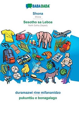 portada Babadada, Shona - Sesotho sa Leboa, Duramazwi Rine Mifananidzo - Pukuntšu e Bonagalago: Shona - North Sotho (Sepedi), Visual Dictionary (in Shona)