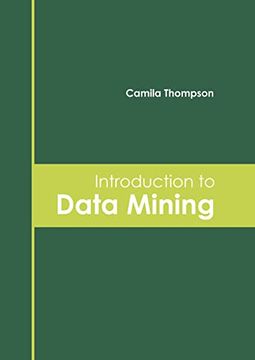 portada Introduction to Data Mining (en Inglés)