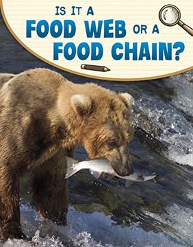 portada Is it a Food web or a Food Chain? (en Inglés)