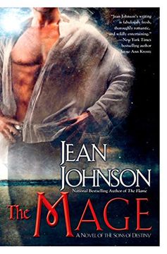 portada The Mage: A Novel of the Sons of Destiny (Sons of Destiny 8) (in English)
