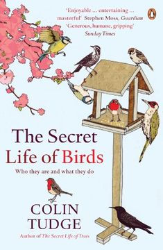portada Secret Life of Birds: Who They are and What They do (en Inglés)