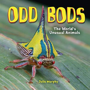 portada Odd Bods: The World'S Unusual Animals (en Inglés)