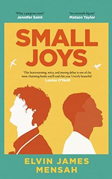 portada Small Joys: The Most Moving and Uplifting Debut Novel of 2023
