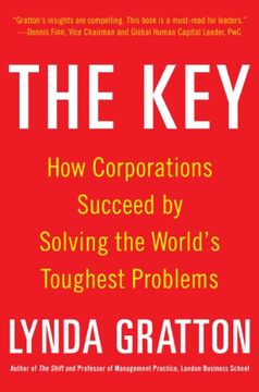 portada The Key: How Corporations Succeed by Solving the World's Toughest Problems (in English)