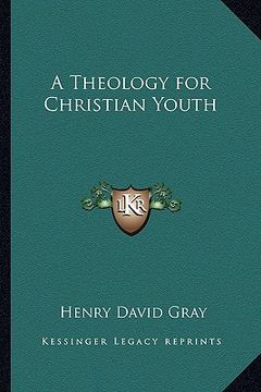 portada a theology for christian youth (en Inglés)