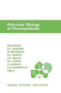 portada molecular biology of photosynthesis (en Inglés)