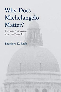 portada Why Does Michelangelo Matter? A Historian's Questions About the Visual Arts (en Inglés)