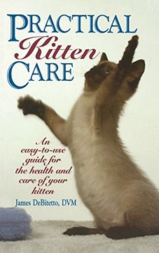 portada Practical Kitten Care (en Inglés)