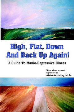 portada high, flat, down and back up again!: a guide to manic-depressive illness (en Inglés)