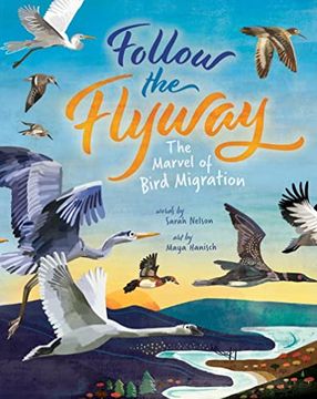 portada Follow the Flyway: The Marvel of Bird Migration (en Inglés)