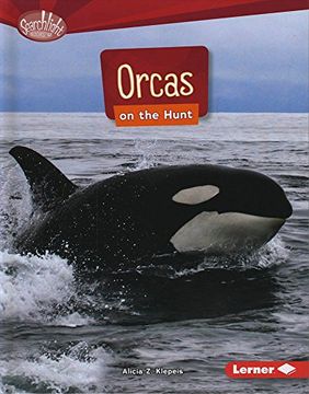 portada Orcas on the Hunt (Searchlight Books: Predators)