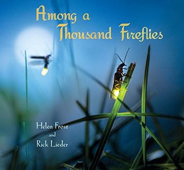 portada Among a Thousand Fireflies (en Inglés)