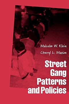 portada Street Gang Patterns and Policies (in English)