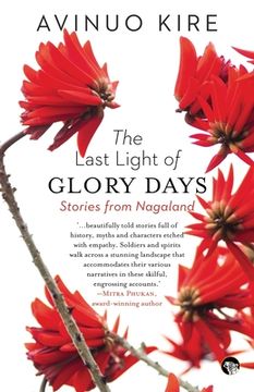 portada The Last Light of Glory Days (en Inglés)