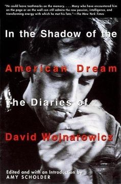 portada In the Shadow of the American Dream: The Diaries of David Wojnarowicz (in English)