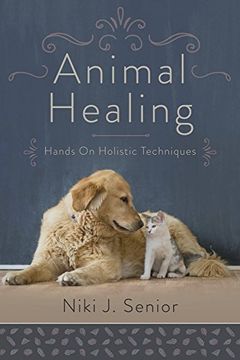 portada Animal Healing: Hands-On Holistic Techniques (en Inglés)